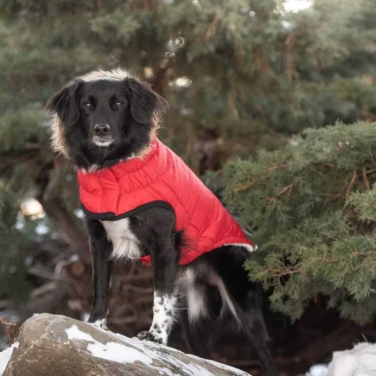 GF Pet Parkas
